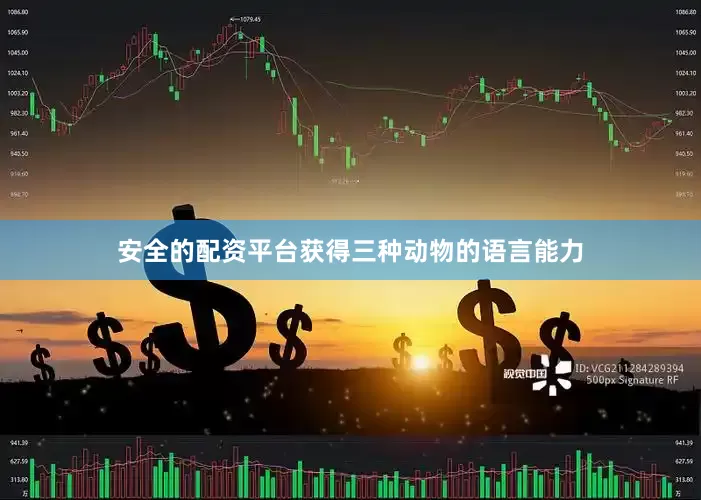 安全的配资平台获得三种动物的语言能力