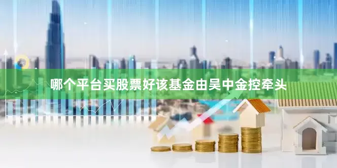 哪个平台买股票好该基金由吴中金控牵头