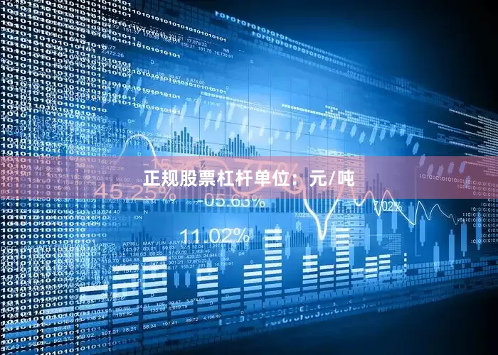 正规股票杠杆单位：元/吨