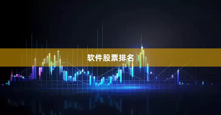 软件股票排名